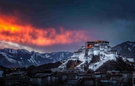 2026 Global Chinese New Year Photography Competition